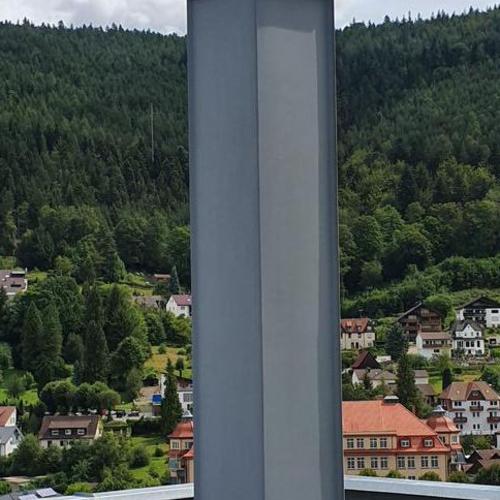 Leichtbauschornstein, Verkleidung PREFA-Patina in Bad Wildbad