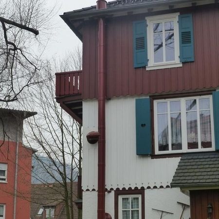 Edelstahlschornstein pulverbeschichtet, passend zum Gebäude